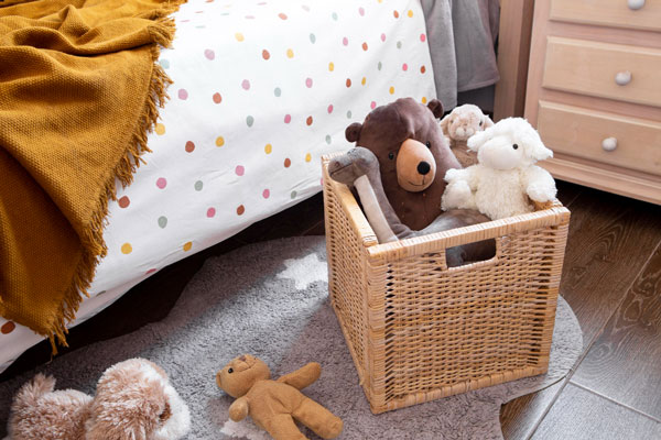 The-Life-Changing-Magic-of-Purging-Toys