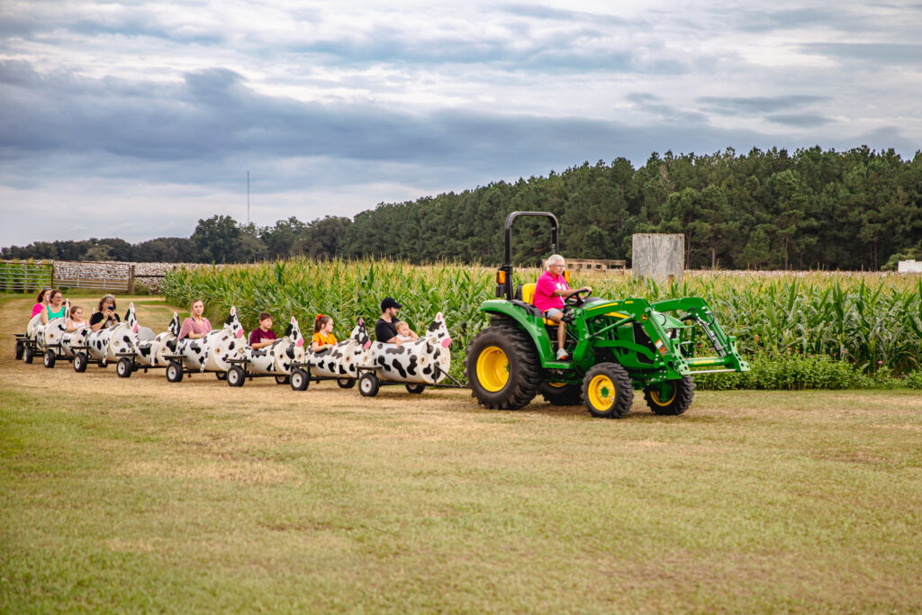 Seward Farms Corn Maze and Fall Fun2