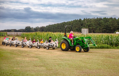 Seward Farms Corn Maze and Fall Fun2
