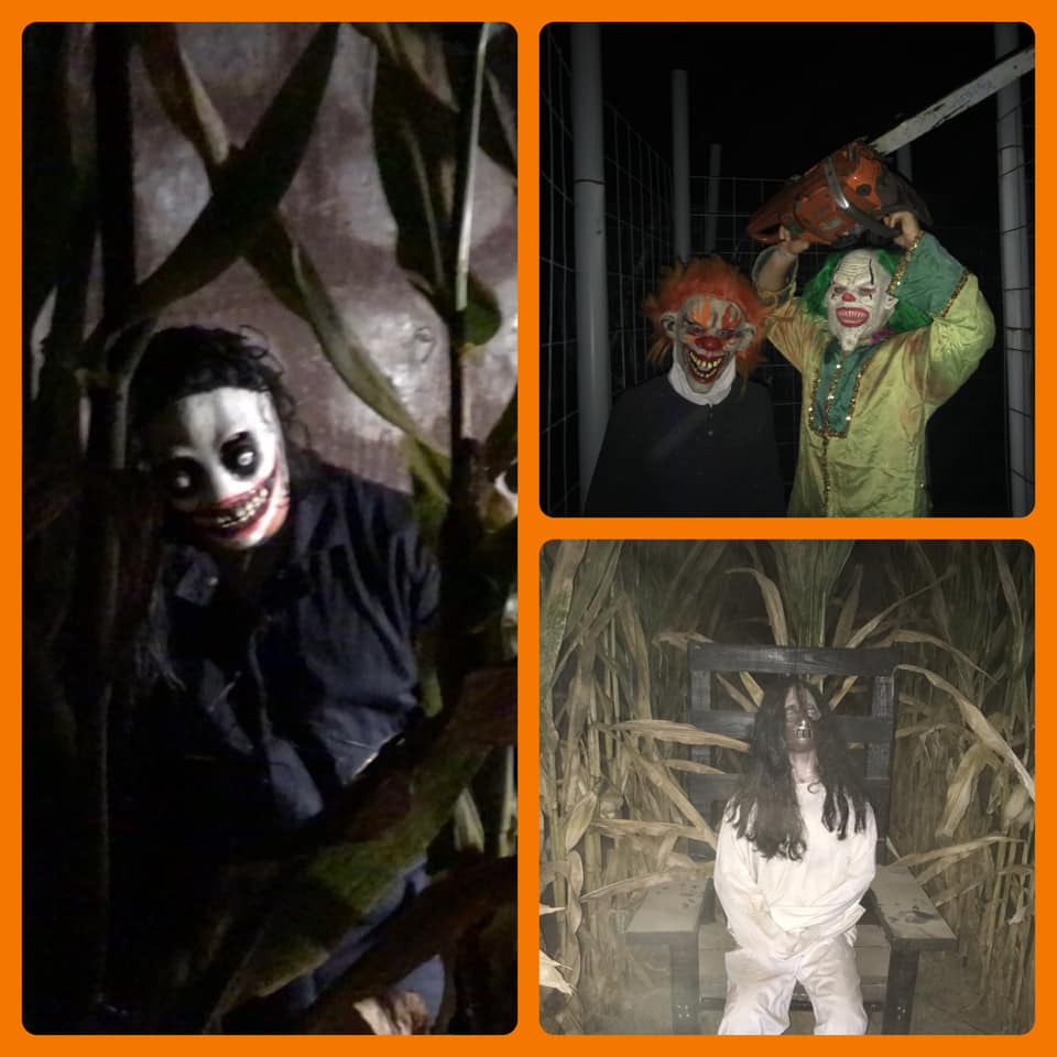 Seward Farms Field of Fright2