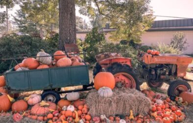 Spanish Fort Presbyterian Pumpkin Patch1