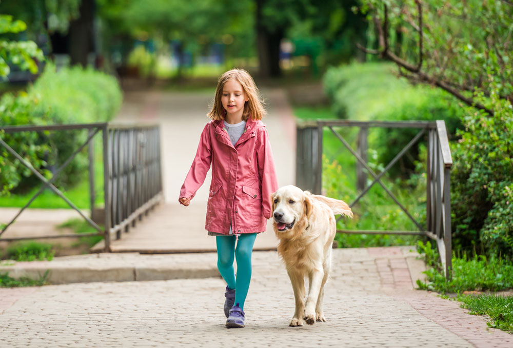 little-girl-walking-with-golden-retriever-outdoors-park