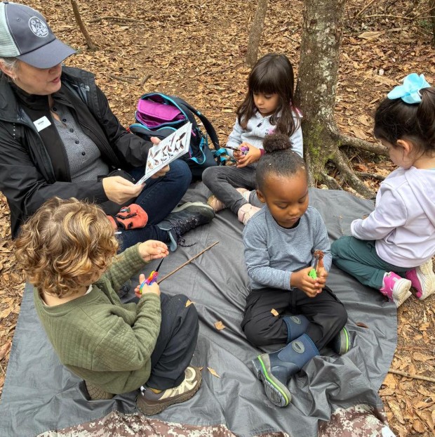 Nature Connect School2
