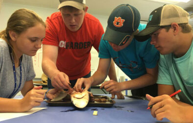 Dauphin-Island-Sea-Residential-Marine-Science-Class1