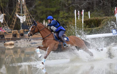 Fox-Run-Riding-Academy,-Level-11